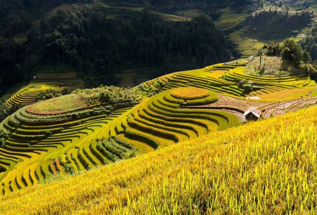 Que Voir Et Faire À Mu Cang Chai 