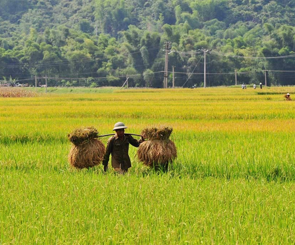 Mai Chau