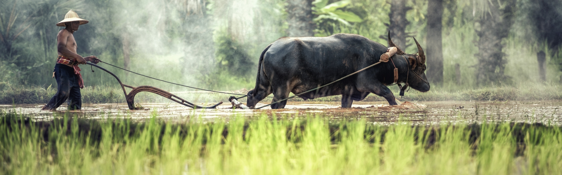 Laos