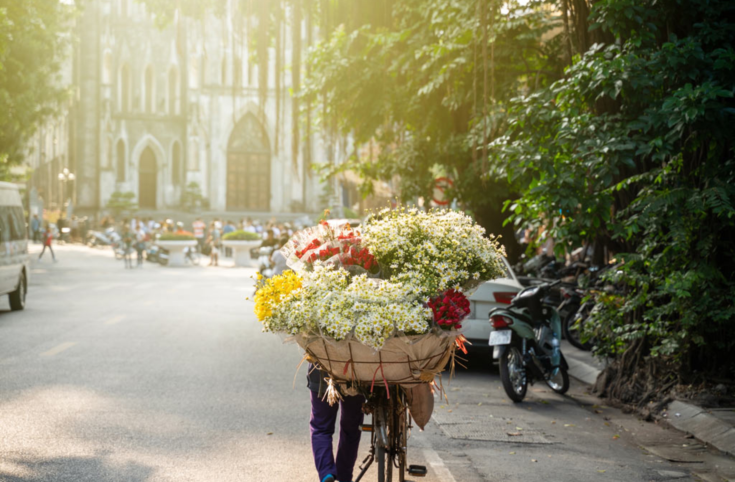 Circuit splendeurs Vietnam du nord au sud 15 jours