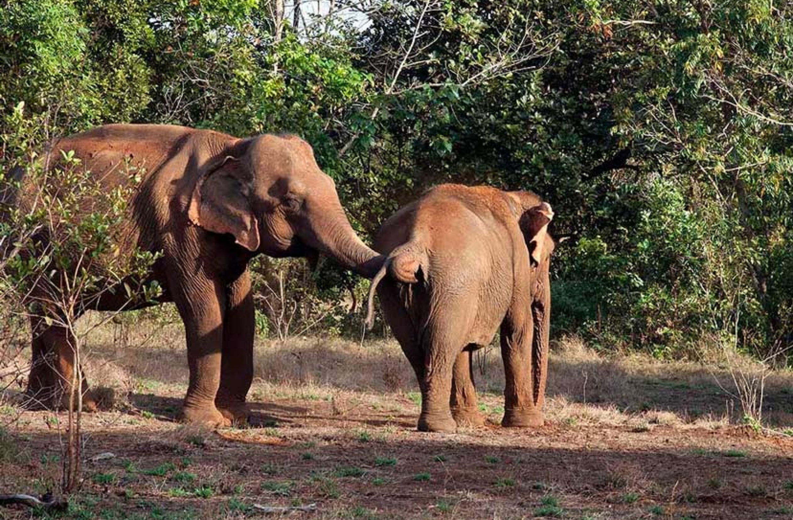 Cambodge en famille 15 jours découverte, beautés culturelles, détente balnéaire