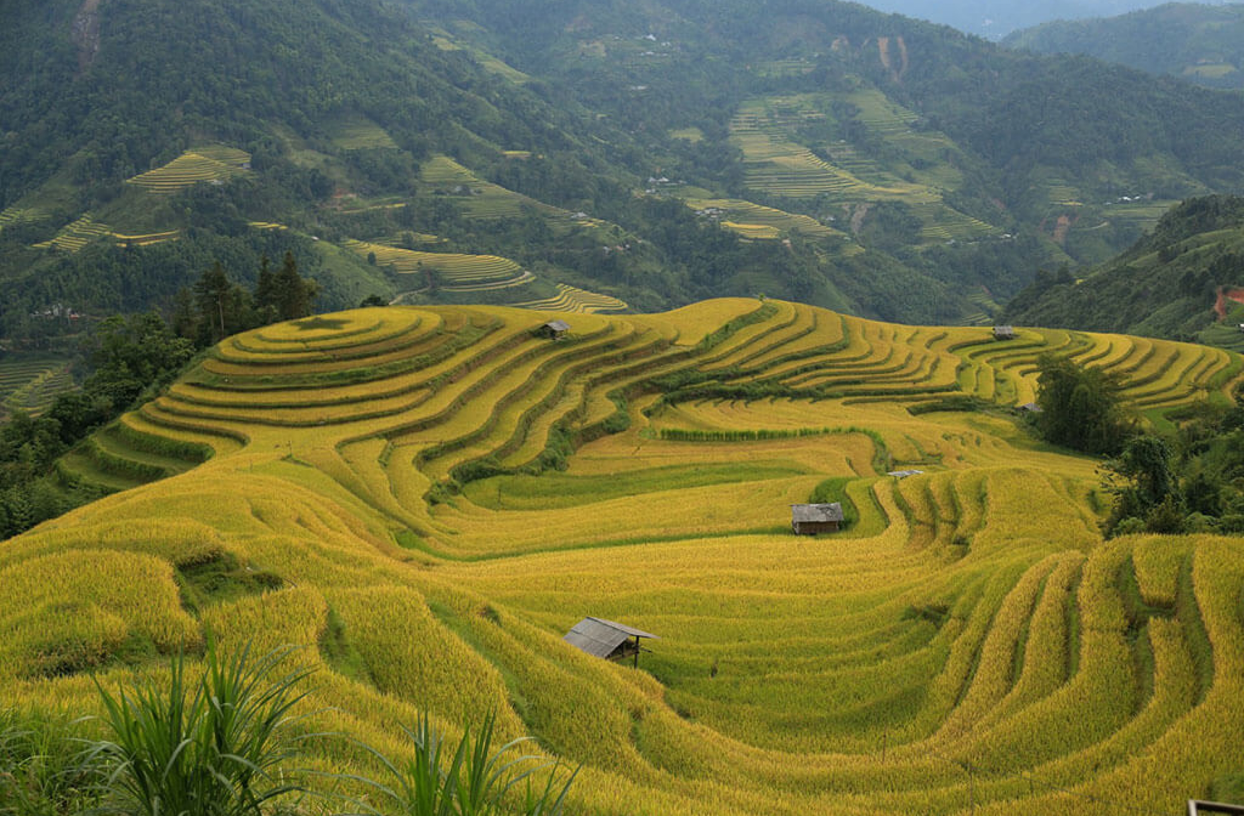 Circuit Combiné Thailande – Vietnam 14 jours