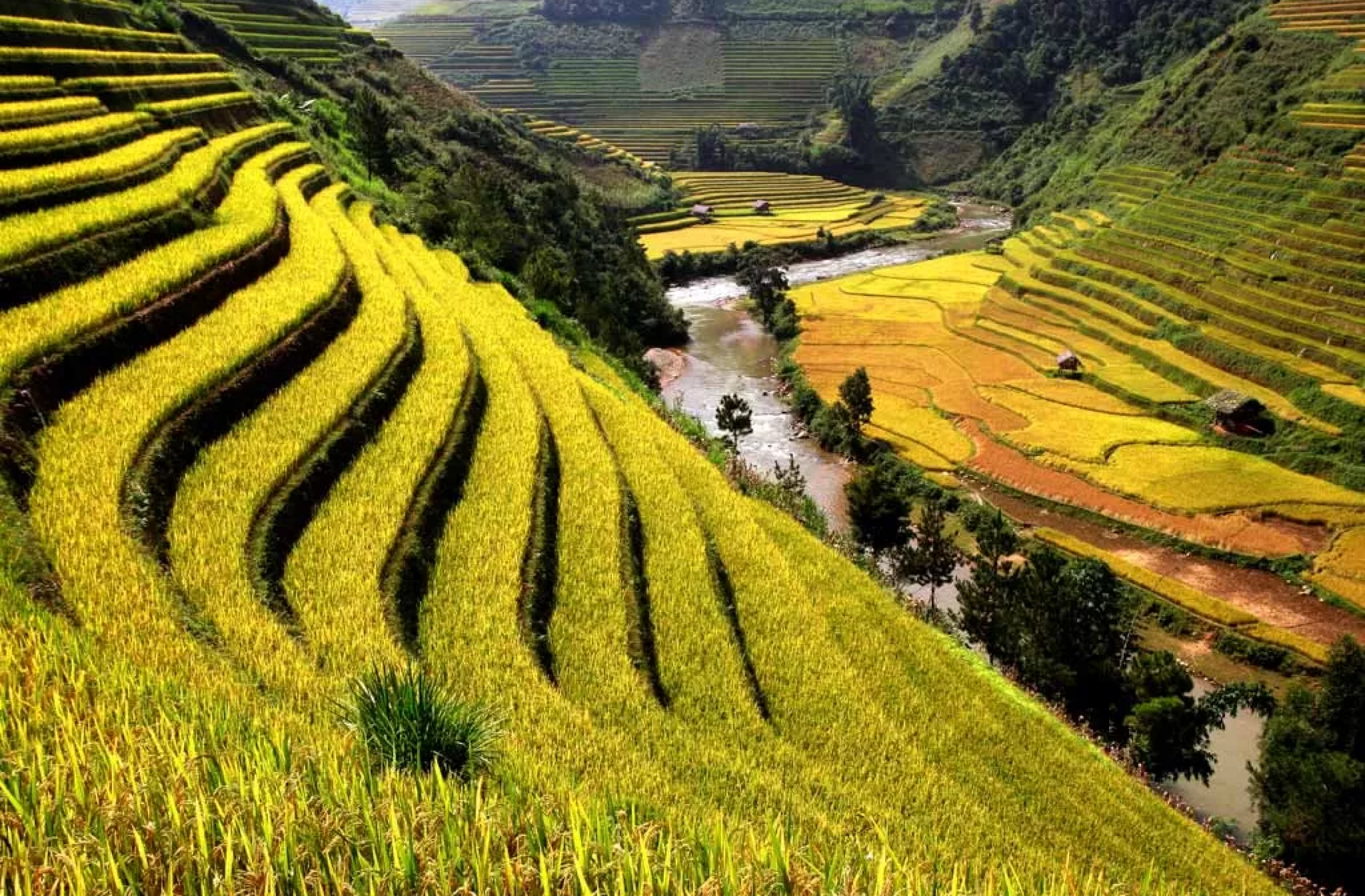 High-end North Vietnam tour 12 days