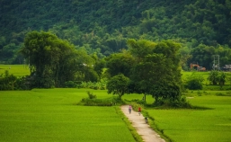 Mai Chau