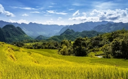 Pu Luong