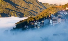 Sapa