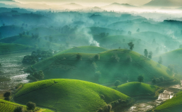 Dalat