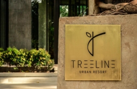 Treeline urban hotel