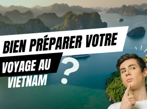 Bien Préparer Votre Voyage Au Vietnam