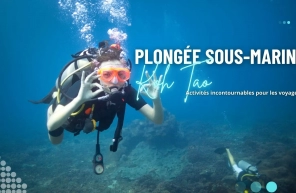 Plongée sous-marine à Koh Tao : activités incontournables pour voyageurs