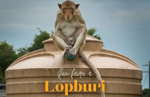 Que voir et faire à Lopburi ?