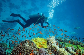 Voyage En Thaïlande