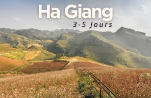 Que voir et que faire à Ha Giang en 3 à 5 jours ?