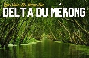 Que Voir Et Faire Au Delta Du Mékong