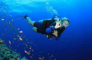 Top 7 Fascinating Scuba Diving In Vietnam Not Be Missed
