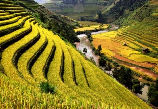 Vietnam tour 15 days with Sapa