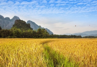 Panorama du Laos 14 jours