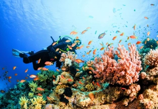 Southern and Central Vietnam Cambodia 3 weeks with beach