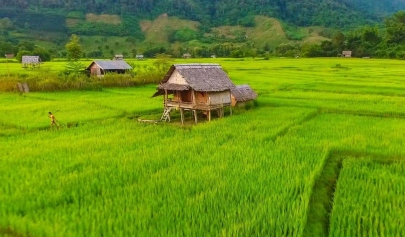 Visiter Muang La: Top 7 Des Choses à Faire Et à Voir