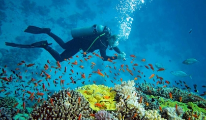 Voyage En Thaïlande