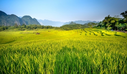 Top 10 Choses à Voir Et Faire à Pu Luong