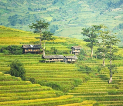 Splendeurs Vietnam - Laos 12 jours