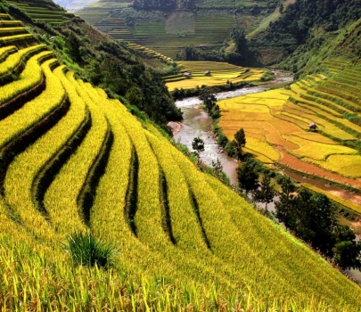Vietnam tour 15 days with Sapa