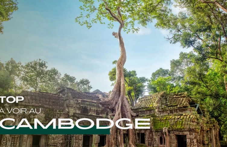 Meilleures choses à voir et à faire au Cambodge