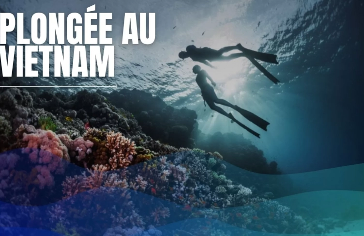 Plongée au Vietnam : top 7 destinations à ne pas manquer