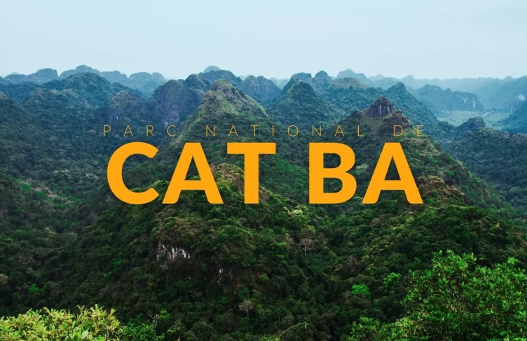 Visiter le parc national de Cat Ba : conseils pratiques