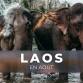 Voyager au Laos en août: météo et activités incontournables