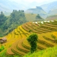 Guide Complet Pour Un Voyage Au Nord Du Vietnam
