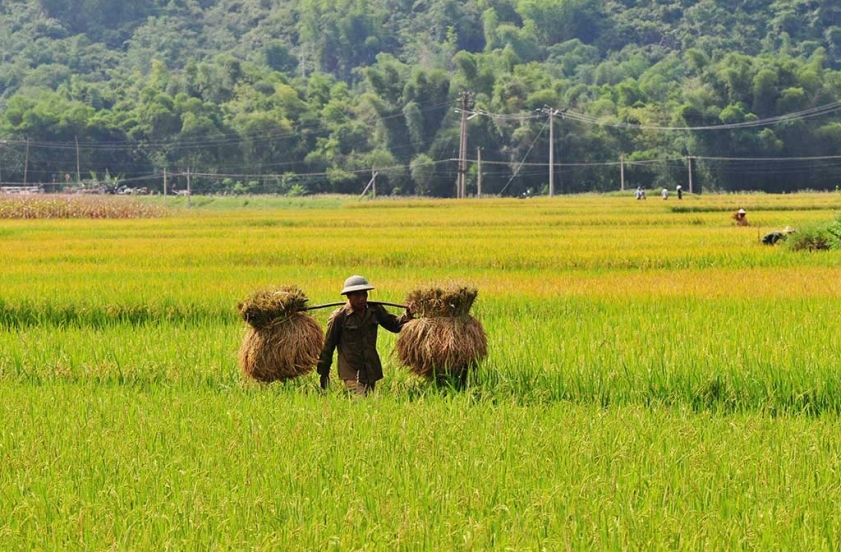 Les meilleurs de Thaïlande et du Vietnam en 14 jours