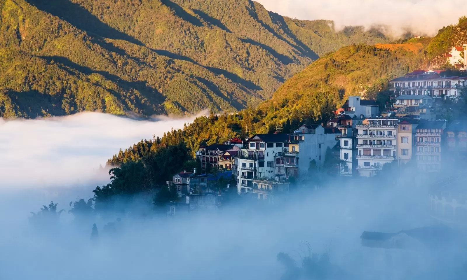 Sapa