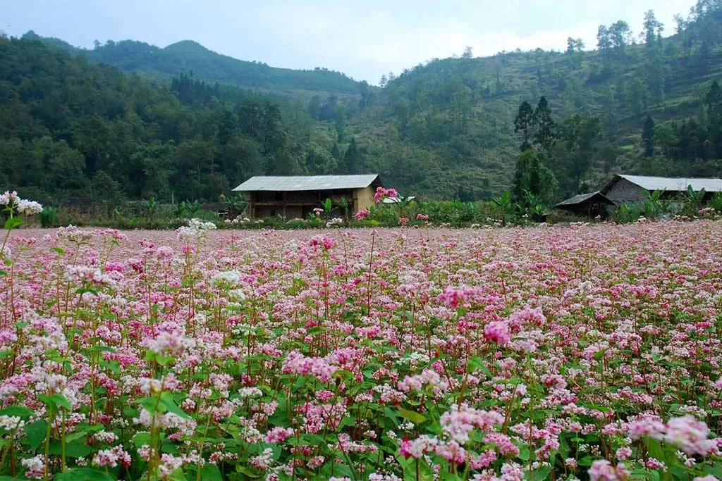 Northern Vietnam Grand Loop 15 days 