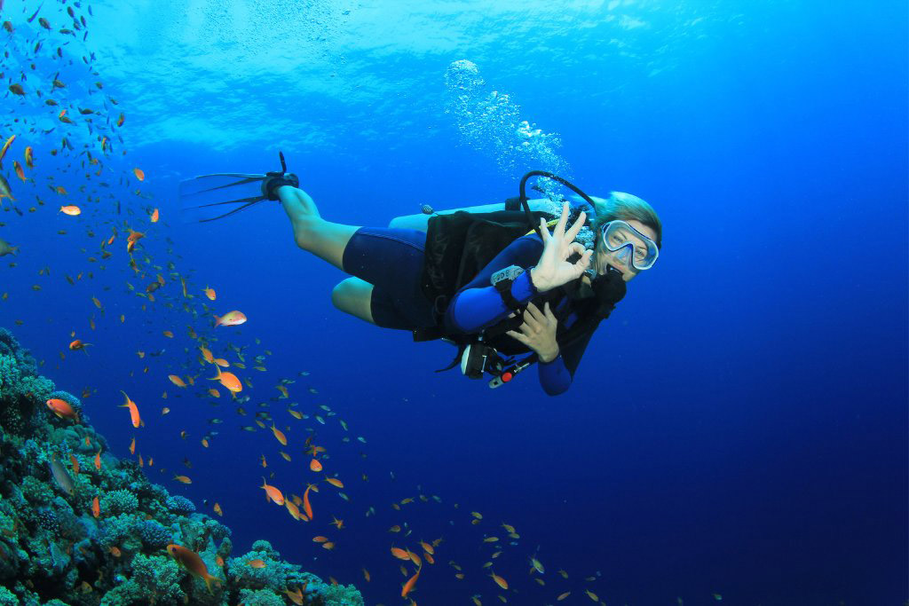 Top 7 Fascinating Scuba Diving In Vietnam Not Be Missed