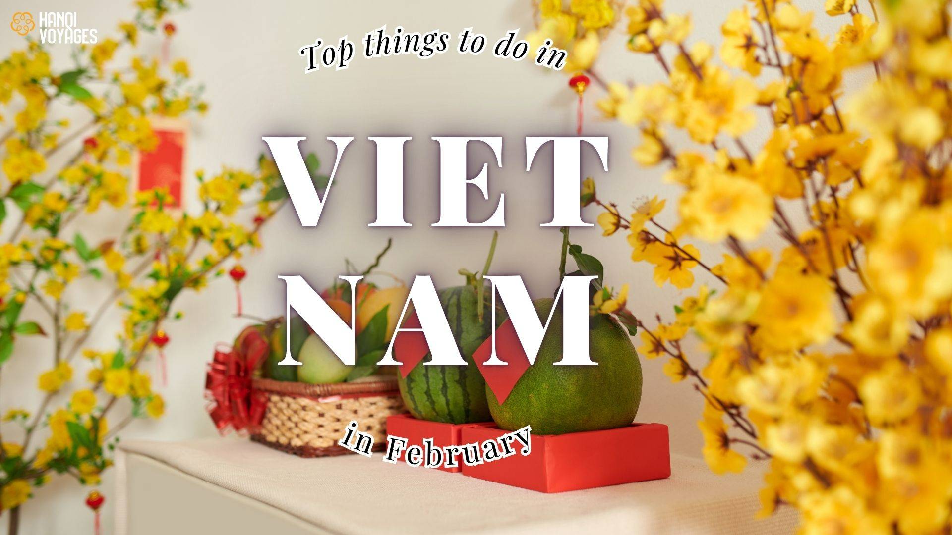 Things to do in Vietnam in February: Festivals, Culture, and Adventure