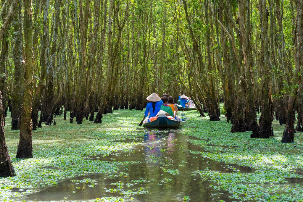 Sur Les Eaux Du Delta Du Mekong