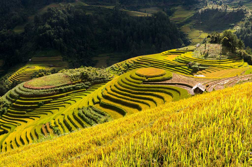 Que Voir Et Faire À Mu Cang Chai 