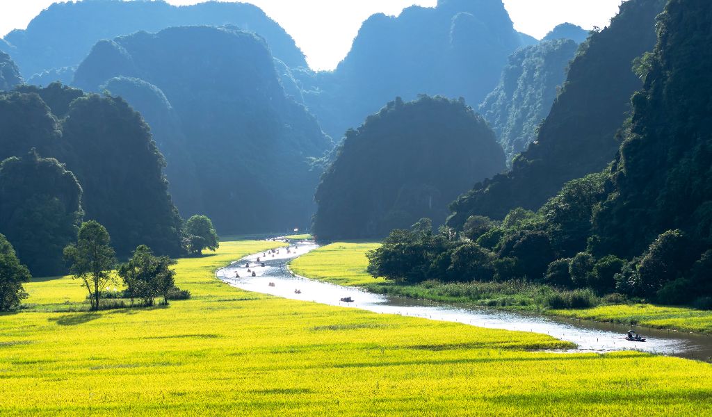 Top 11 Activities In Ninh Binh