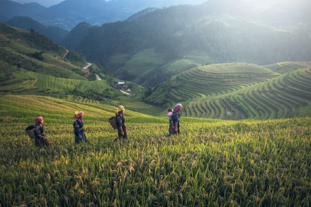 Que Faire Au Nord Du Vietnam : Top Choses à Faire Et à Voir