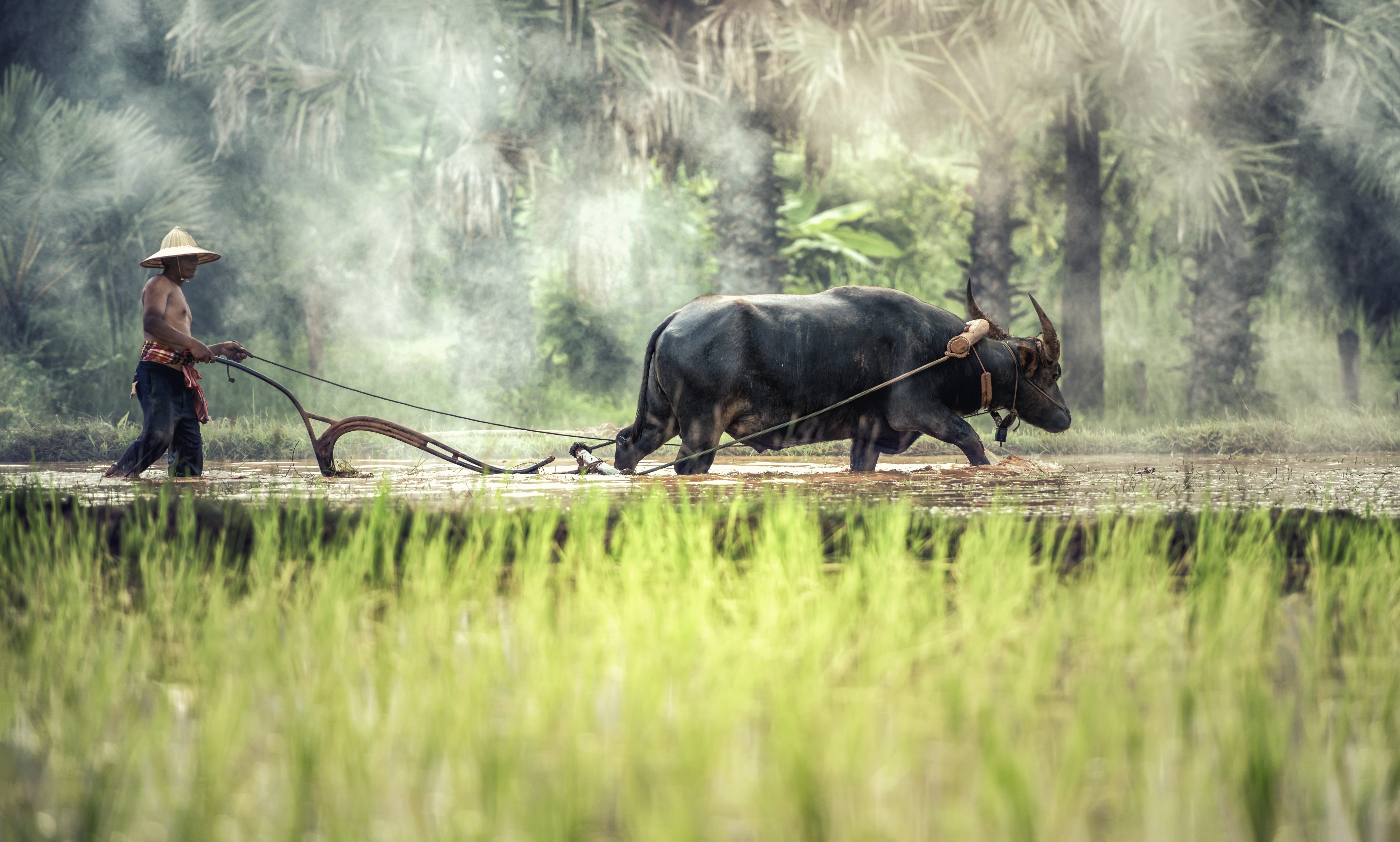 Laos