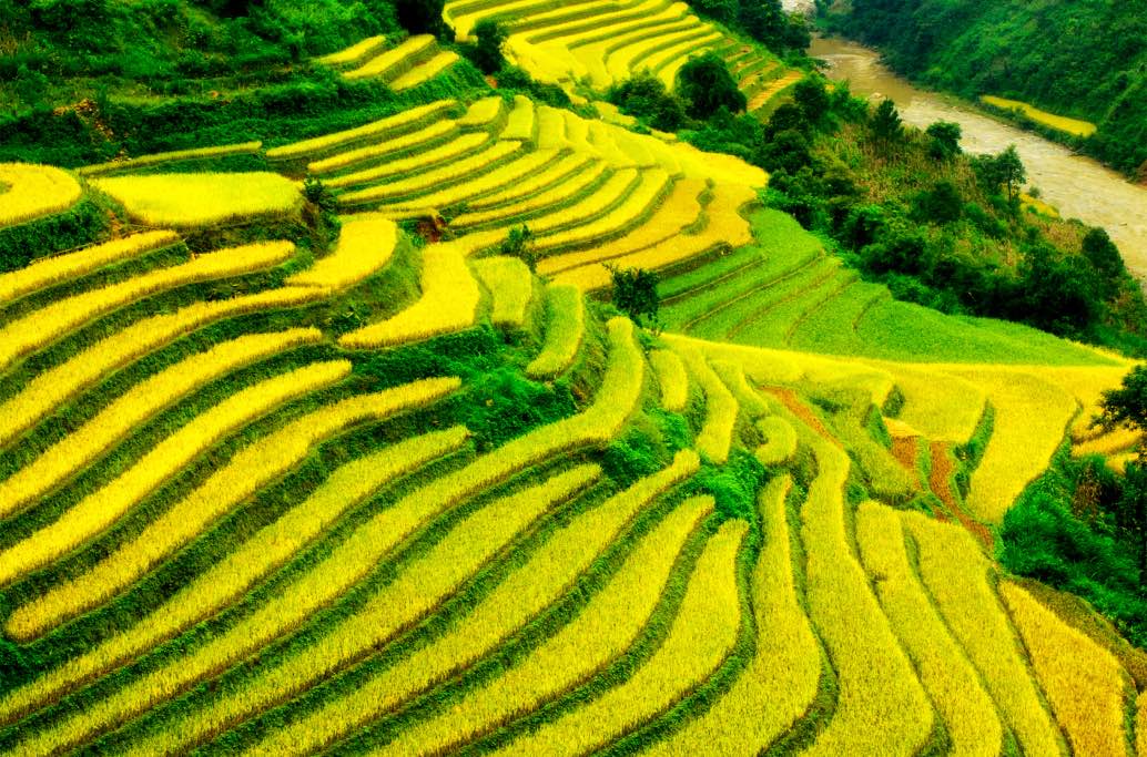 Mu Cang Chai 