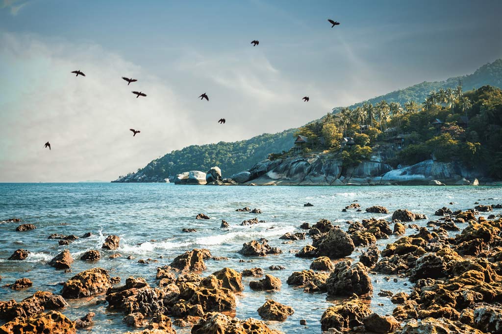 Voyage en famille en Thailande en 18 jours