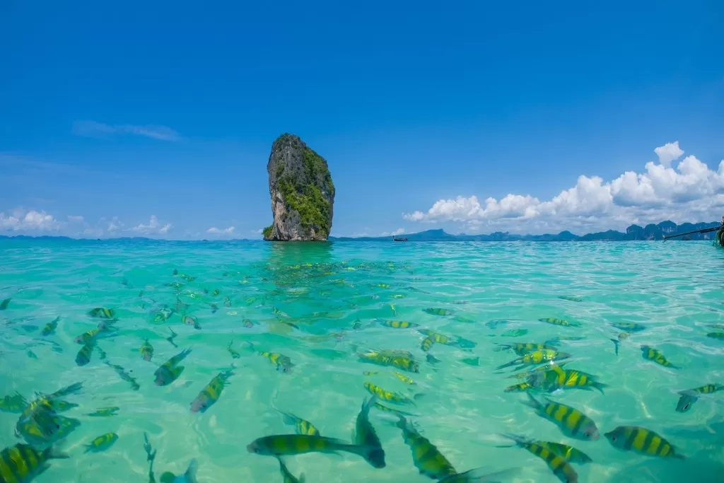 1 Week in Southern Thailand