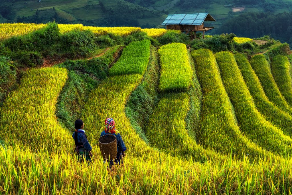 Circuit Vietnam Cambodge 20 jours