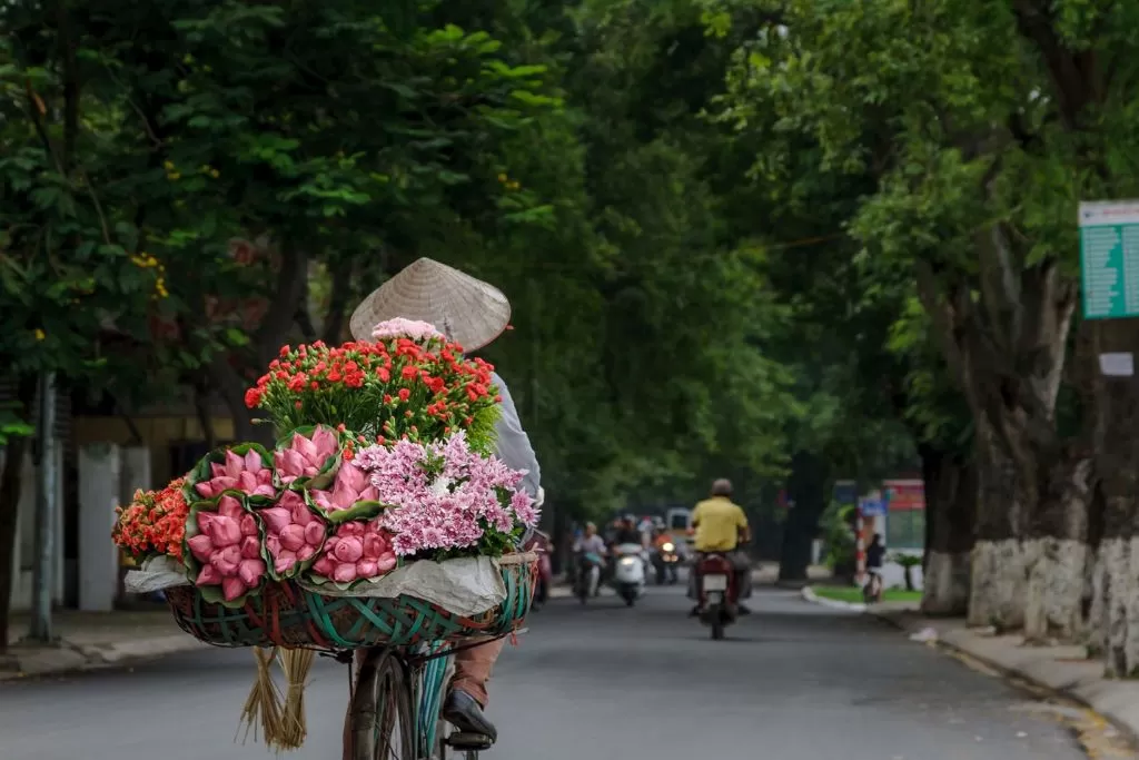 Circuit Vietnam Cambodge 21 jours - Haute de gamme