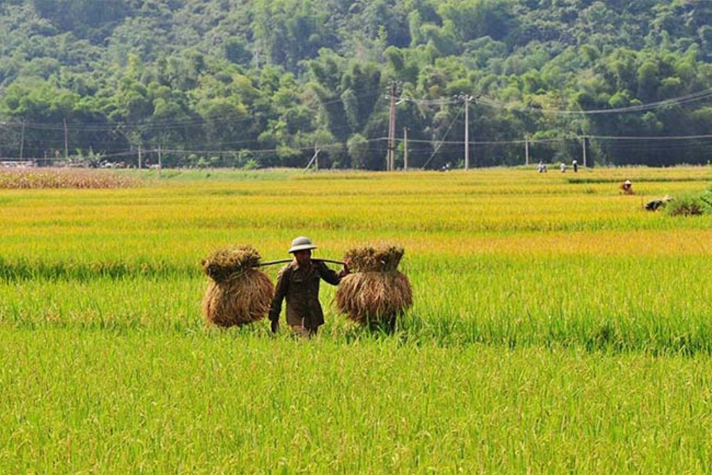 Circuit Vietnam en famille 18 jours Sites Unesco et réserve Pu Luong