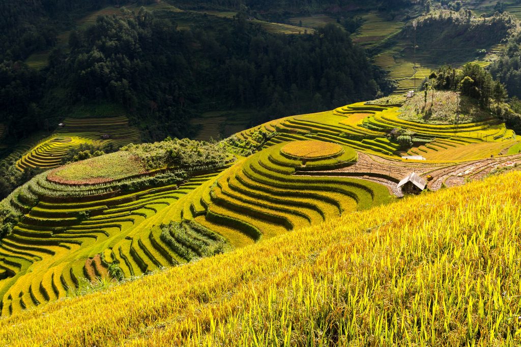 Northern Vietnam Grand Loop 15 days
