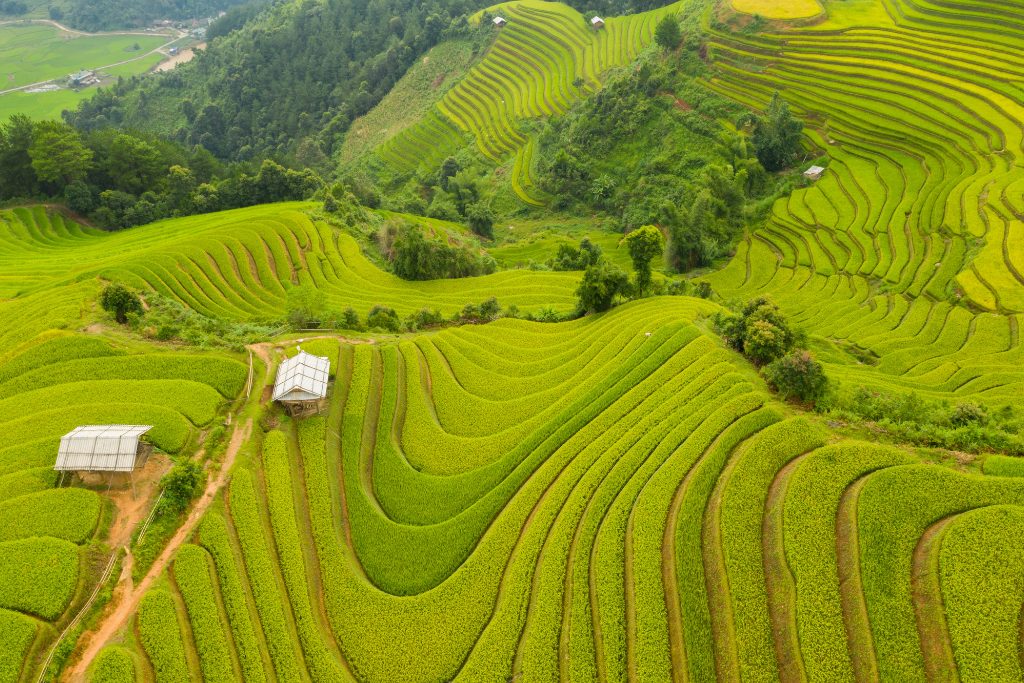 Ethnic of North Vietnam - Laos - Angkor 22 days